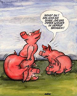 schwein.gif 59.758 byte